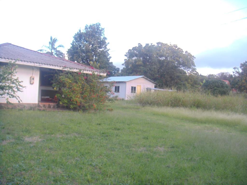 Cabanas Varua Hanga Roa Værelse billede